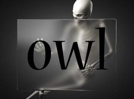 owl word on glass and skeleton photo