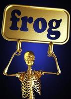 frog word and golden skeleton photo