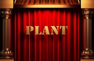 plant golden word on red curtain photo