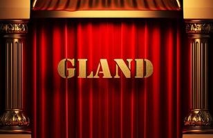 gland golden word on red curtain photo