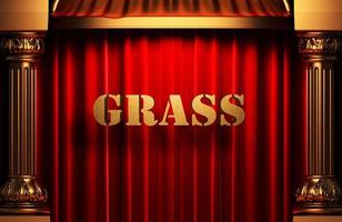 grass golden word on red curtain photo