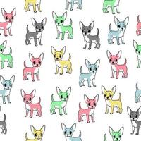 Seamless cute pattern of chihuahua dog on white background vector