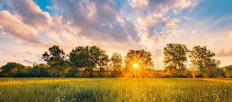 Beautiful panoramic summer sunset with wild grass meadow in sunlight, sun rays. Tranquil rural panorama, nature landscape field in countryside. Pastel bright floral forest field, colorful sky clouds photo