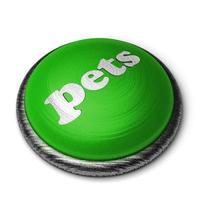 palabra mascotas en el botón verde aislado en blanco foto