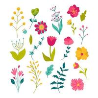 Spring Flowers. Summer and Spring blossom forest and garden flowers field isolated on white background. Floral set. Nature springtime Flower. Vector illustration