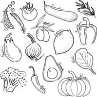 Freehand drawing vegetables. 586075 Vector Art at Vecteezy