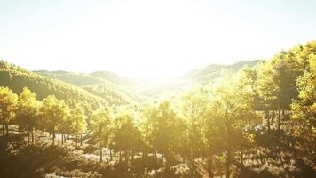 View on autumn forest in mountains and blue sky of Switzerland video