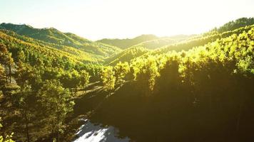 Luftdrohnenansicht eines Bergwaldes mit bunten Herbstbäumen