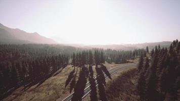 vue aérienne naturelle sur la route et la forêt à l'automne video