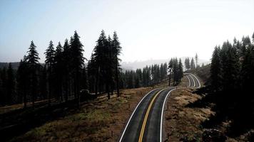 natuurlijke luchtfoto op de weg en het bos in de herfst video
