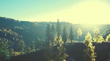 hermosa vista de la puesta de sol en el bosque de cedros frente a la cordillera de sayan video