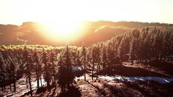 Mountain valley with pine forest against the distant ridges video