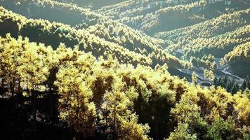 vue sur la forêt d'automne dans les montagnes et le ciel bleu de la suisse video