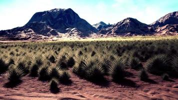 deserto pietroso nell'entroterra australiano video