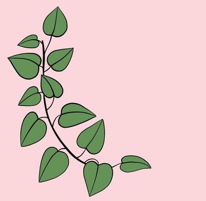 Simplicity ivy freehand drawing flat design.