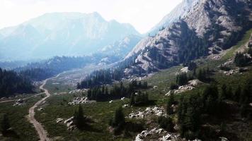 route sinueuse dans les montagnes avec forêt de pins video