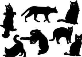 black and white cat collections set of hairy cats with white eyes vector