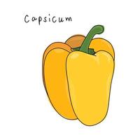 pimientos dulces amarillos, capsicum sobre un fondo blanco. vector de pimiento dulce. vector dibujado a mano.