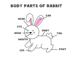 Body parts of the rabbit. Scheme for children. vector