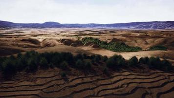Hermosa duna de arena naranja amarilla en el desierto de Asia central video