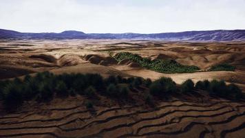 belle dune de sable orange jaune dans le désert d'asie centrale video