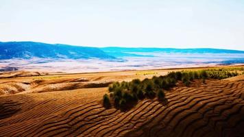 deserto pietroso nell'entroterra australiano video