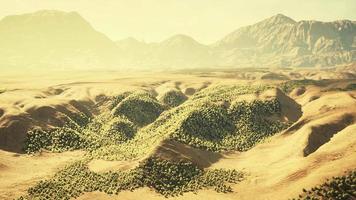 luchtfoto van woestijn in Libië video