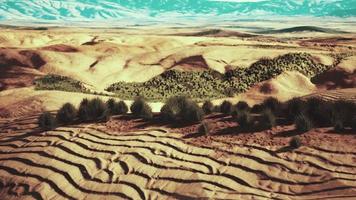 woestijnlandschap in krater nationaal park video