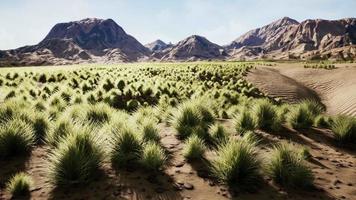 paysage désertique dans le parc national du cratère video