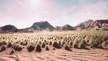 paisagem do deserto no parque nacional da cratera video