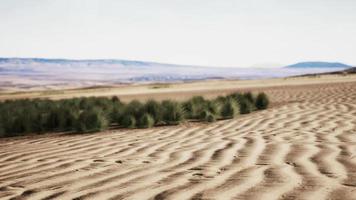 paesaggio desertico nel parco nazionale del cratere video