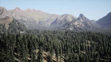 majestuosas montañas con bosque en primer plano en canadá video