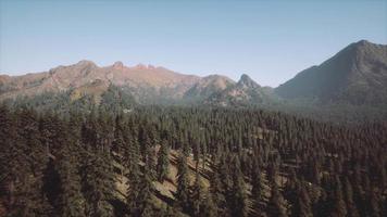 majestuosas montañas con bosque en primer plano en canadá video