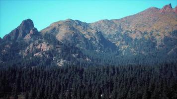 increíbles vistas a las montañas en el norte de canadá en verano video