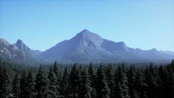 montagnes majestueuses avec premier plan forestier au canada video