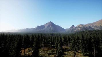 Amazing mountain views in northern Canada in summer time video