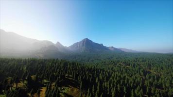majestosas montanhas com floresta em primeiro plano no canadá