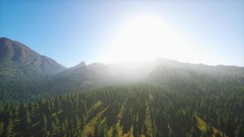 increíbles vistas a las montañas en el norte de canadá en verano video