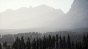 majestuosas montañas con bosque en primer plano en canadá video