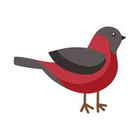 Bullfinch, a bird is a symbol of winter. Vector clipart, isolated illustration, for design or decoration