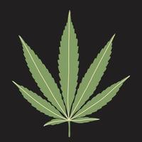 simplicity cannabis leaf freehand drawing flat design. vector