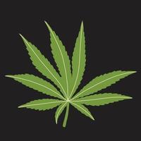 simplicity cannabis leaf freehand drawing flat design. vector