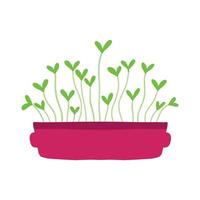 Pot of microgreens. Microgreens peas, radish, onion, arugula. sunflower, beets and others. Vector illustration isolated on white background. Drawn style.
