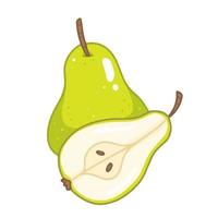A whole pear with a half cut pear in cartoon style. Vector isolated illustration.
