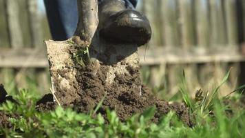 Man in short rubber boots dig garden bed on a household plot in spring sunny evening with a wooden village fence on the background. 4K resolution video. video