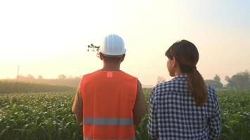 el ingeniero masculino brinda una consulta e instrucción a un agricultor inteligente con fertilizantes y pesticidas rociados con drones sobre tierras de cultivo, innovaciones de alta tecnología y agricultura inteligente video