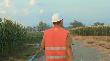 homem de engenharia verificando a fazenda de milho com tablet em campo, inovações de alta tecnologia e agricultura inteligente video