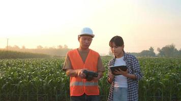 engenheiro masculino fornece uma consulta e instrui o agricultor inteligente com pulverização de fertilizantes e pesticidas por drone sobre terras agrícolas, inovações de alta tecnologia e agricultura inteligente video