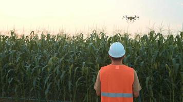 engenheiro masculino que controla a pulverização de fertilizantes e pesticidas por drones em terras agrícolas, inovações de alta tecnologia e agricultura inteligente video