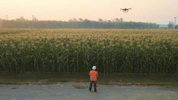 Männlicher Ingenieur, der Drohnen kontrolliert, die Düngemittel und Pestizide über Ackerland sprühen, High-Tech-Innovationen und intelligente Landwirtschaft